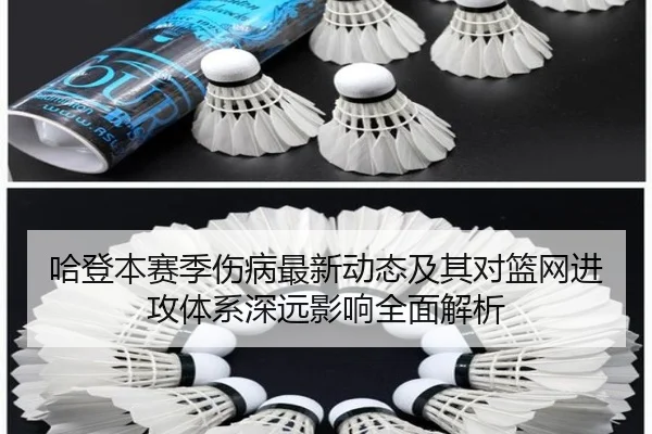 哈登本赛季伤病最新动态及其对篮网进攻体系深远影响全面解析（DAFA SPORTS）